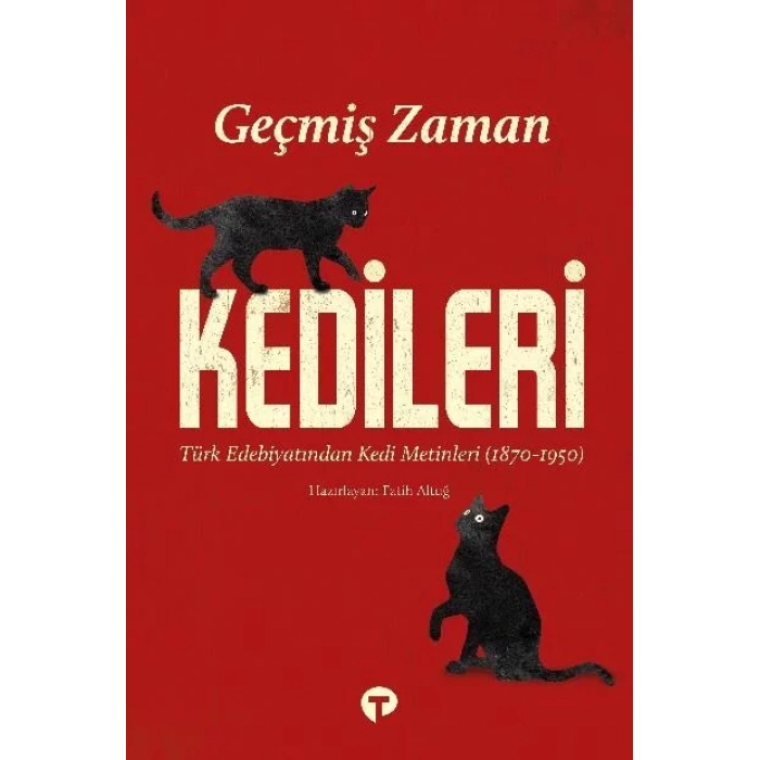 GEÇMİŞ ZAMAN KEDİLERİ-TURKUVAZ