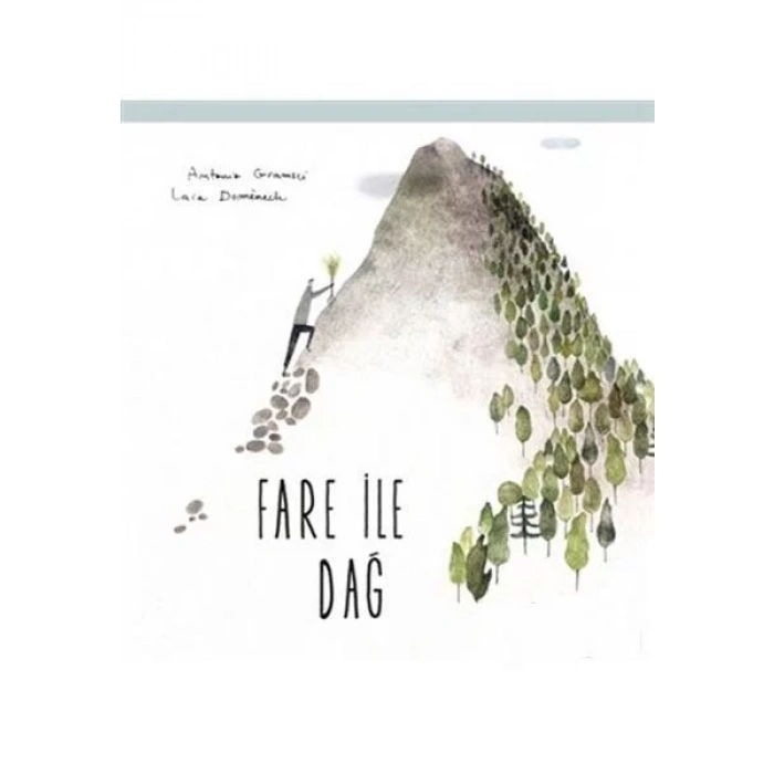 FARE İLE DAĞ - DESEN