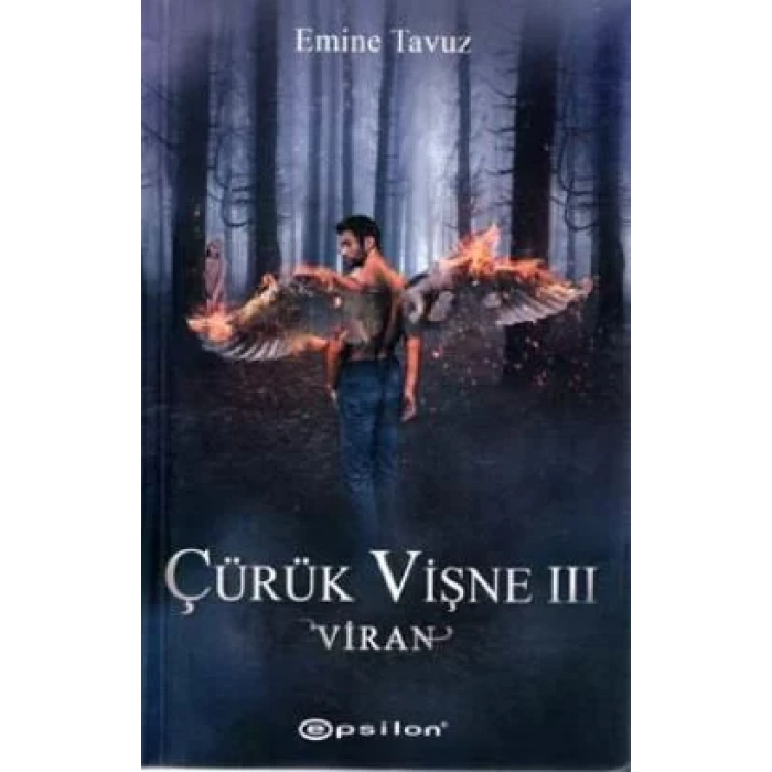 ÇÜRÜK VİŞNE 3 VİRAN - EPSİLON