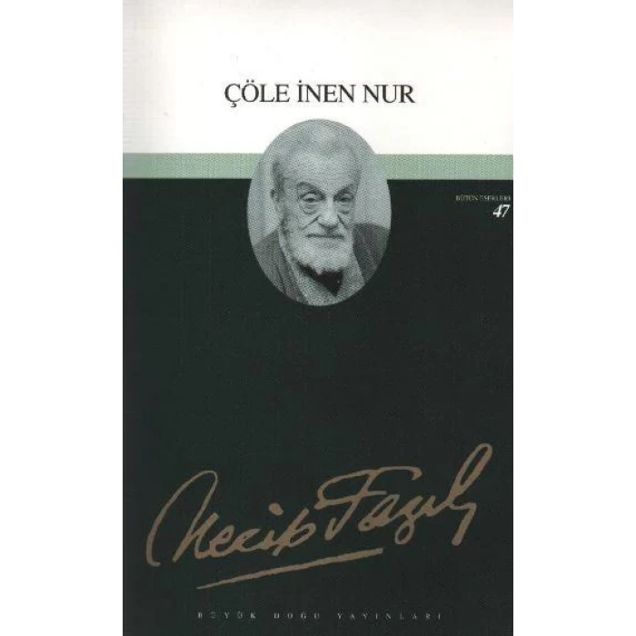 ÇÖLE İNEN NUR - BÜYÜKDOĞU