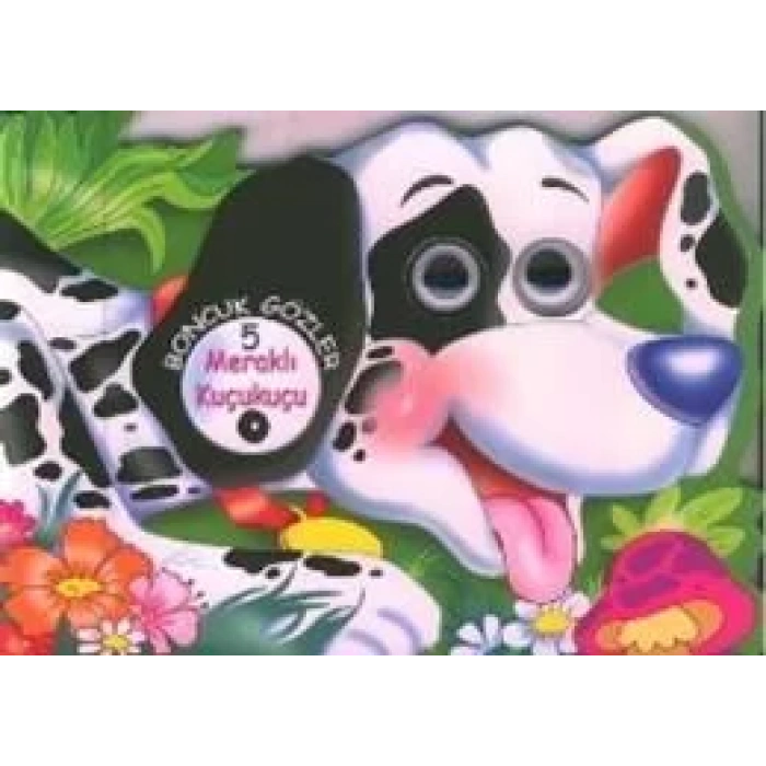 BONCUK GÖZLER 5 MERAKLI KUÇUKUÇU - NURDAN