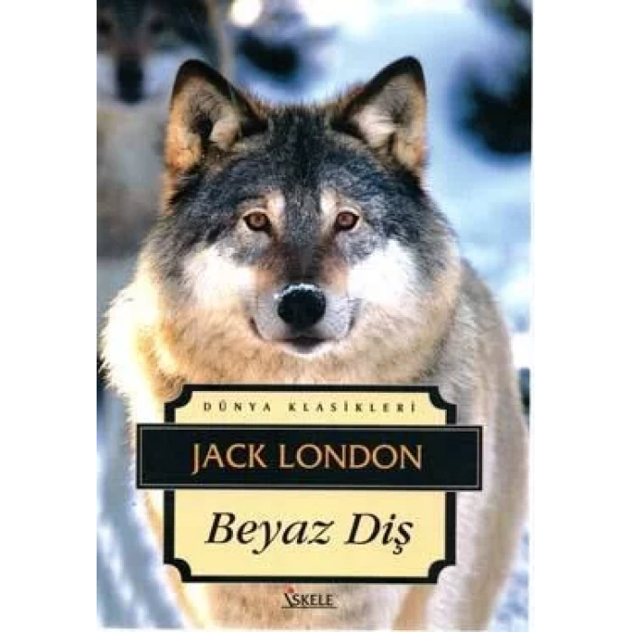 BEYAZ DİŞ - İSKELE