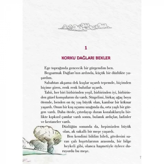 BEN BİR GÜRGEN DALIYIM - EVEREST