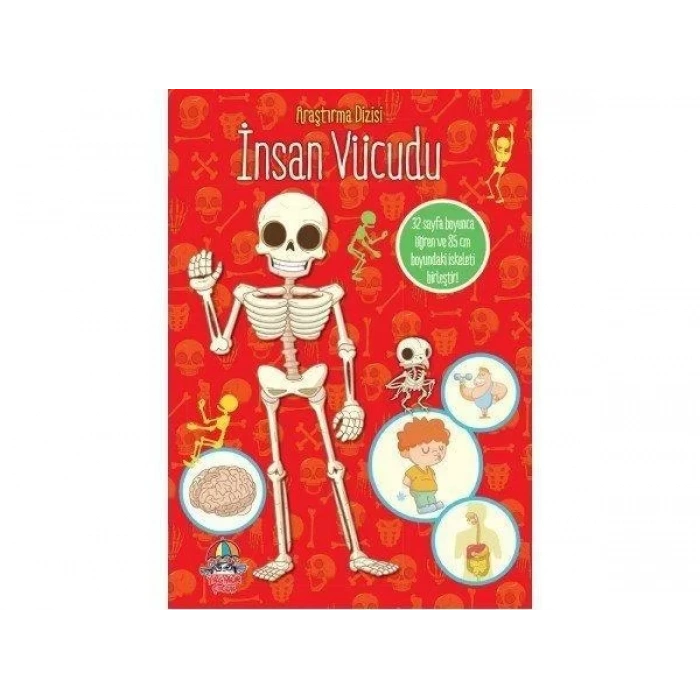 ARAŞTIRMA DİZİSİ İNSAN VÜCUDU - YAĞMUR