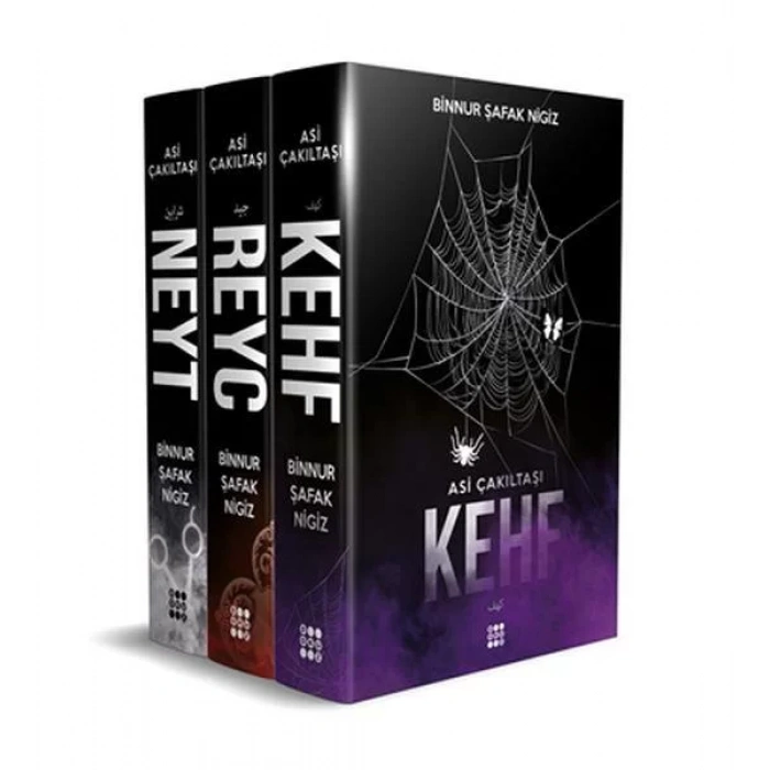 ASİ ÇAKILTAŞI SERİSİ ( 3 KİTAP TAKIM ) - DOKUZ YAYINLARI