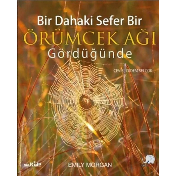 BİR DAHAKİ SEFER BİR ÖRÜMCEK AĞI GÖRDÜĞÜNDE - NOBEL