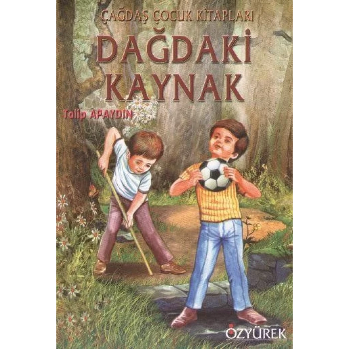 DAĞDAKİ KAYNAK