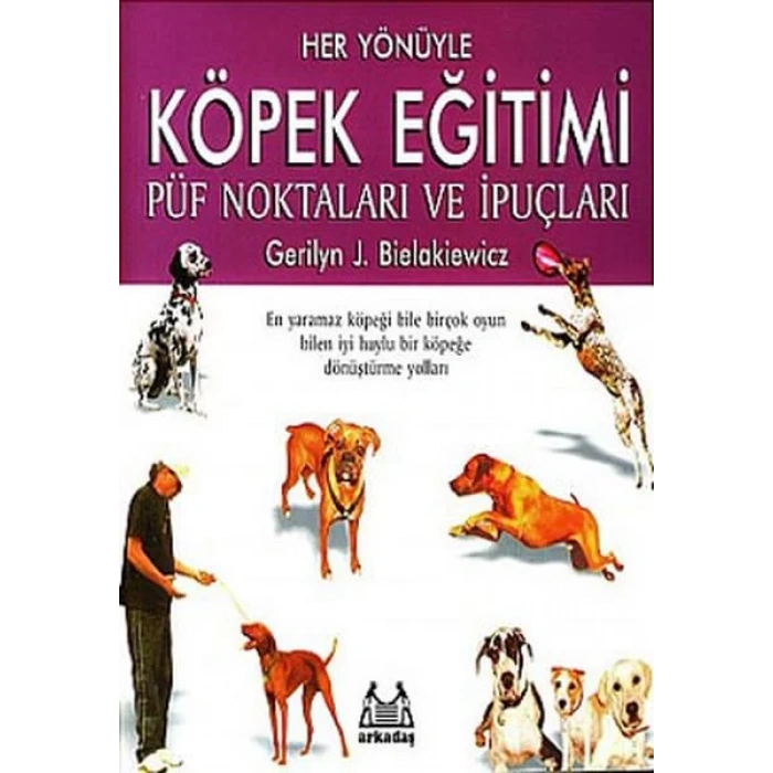 Her Yönüyle Köpek Eğitimi Püf Noktaları Ve İpuçları