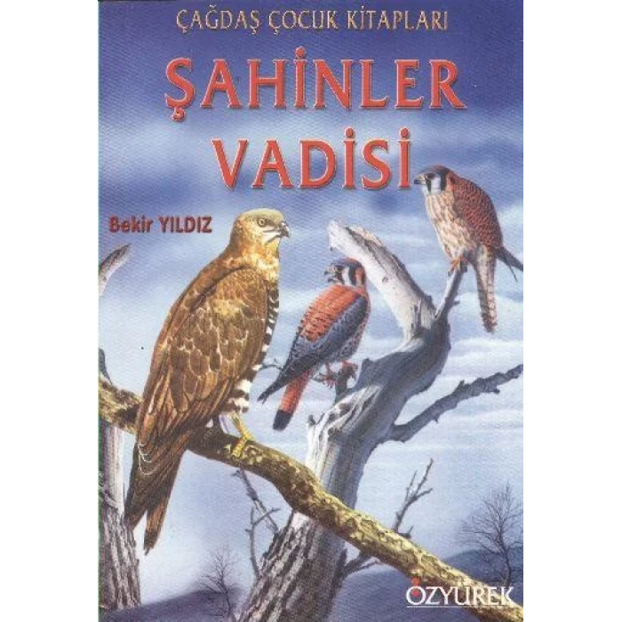 ŞAHİNLER VADİSİ