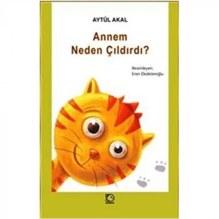 ANNEM NEDEN ÇILDIRDI - TUDEM YAYINLARI