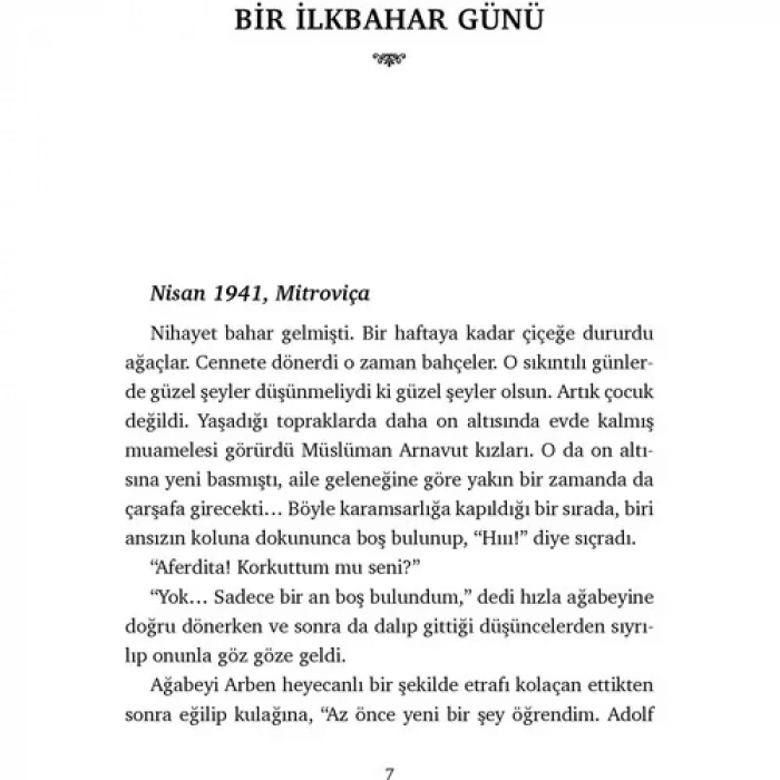 SOLGUN KARANFİL - ALFA