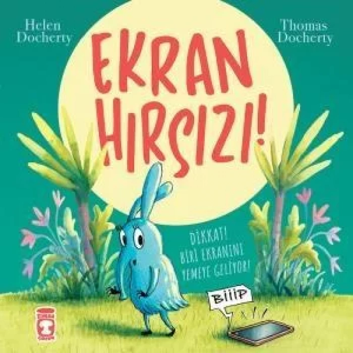 EKRAN HIRSIZI - TİMAŞ
