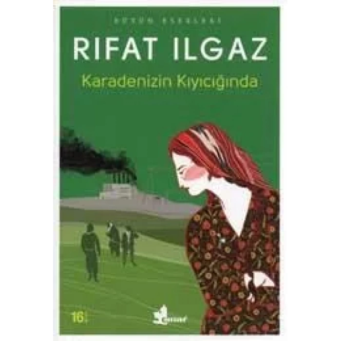 KARADENİZİN KIYICIĞINDA - ÇINAR