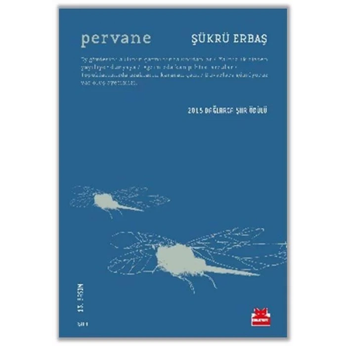 PERVANE - KIRMIZI KEDİ