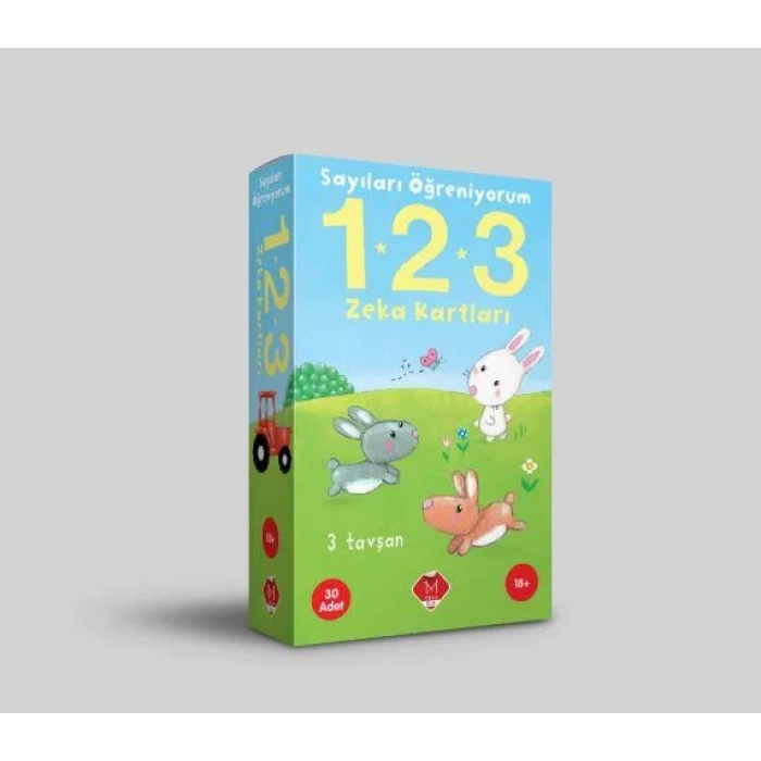 SAYILARI ÖĞRENİYORUM 1-2-3 ZEKA KARTLARI- MİKADO