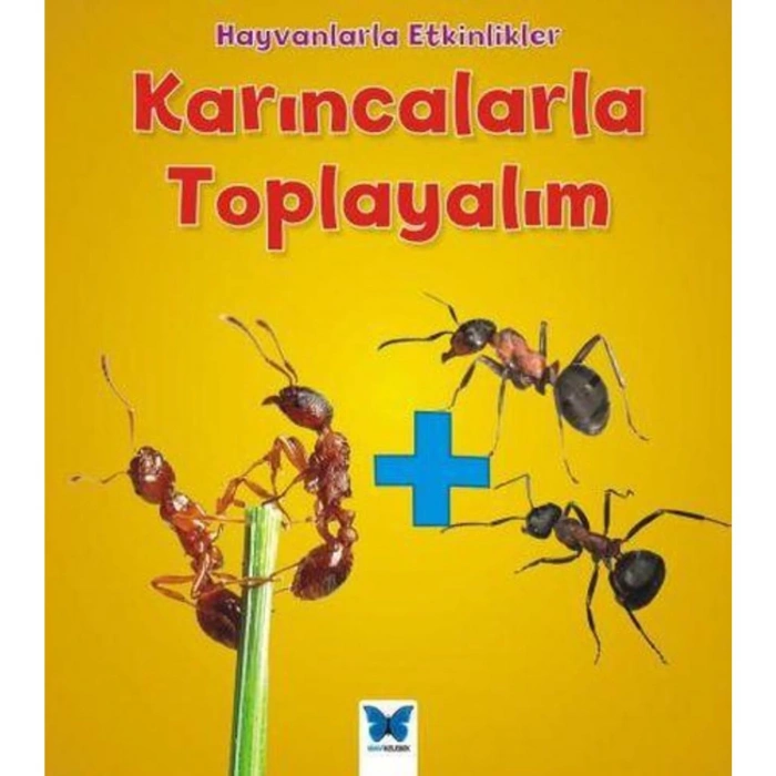Hayvanlarla Etkinlikler - Karıncalarla Toplayalım
