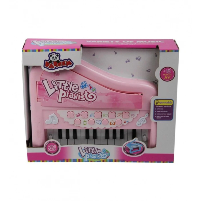 Var-N1291E/J68-01-AYAKLI ISIKLI PIANO