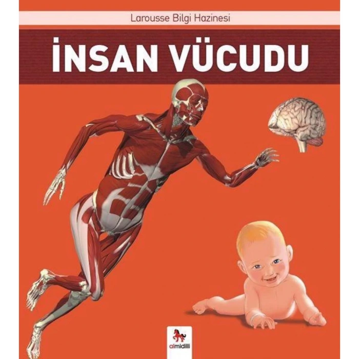 İnsan Vücudu