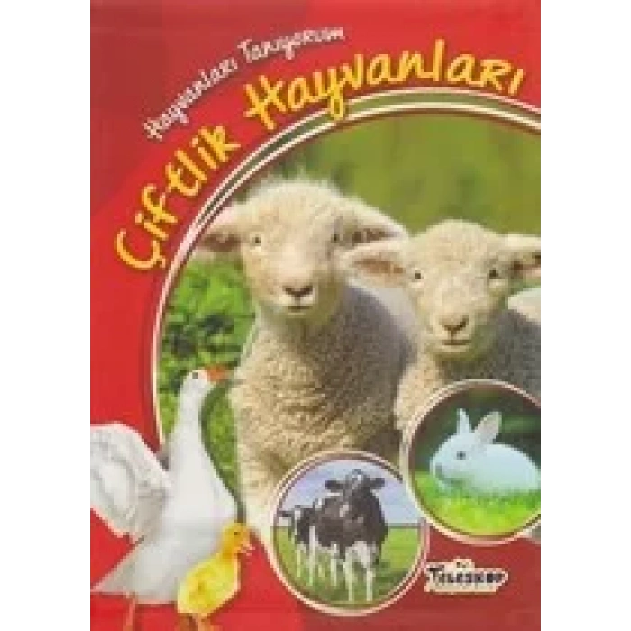 HAYVANLARI TANIYORUM ÇİFTLİK HAYVANLAR