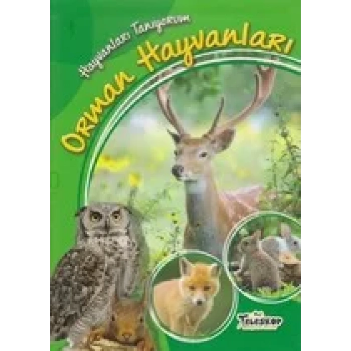 HAYVANLARI TANIYORUM ORMAN HAYVANLAR