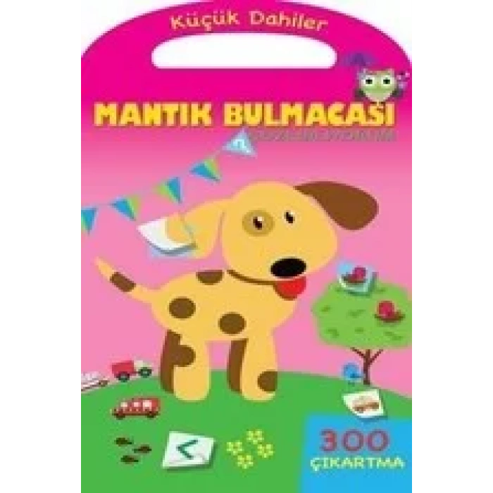 MANTIK BULMACASI ÇÖZEBİLİYORUM KÜÇÜK DAHİLER