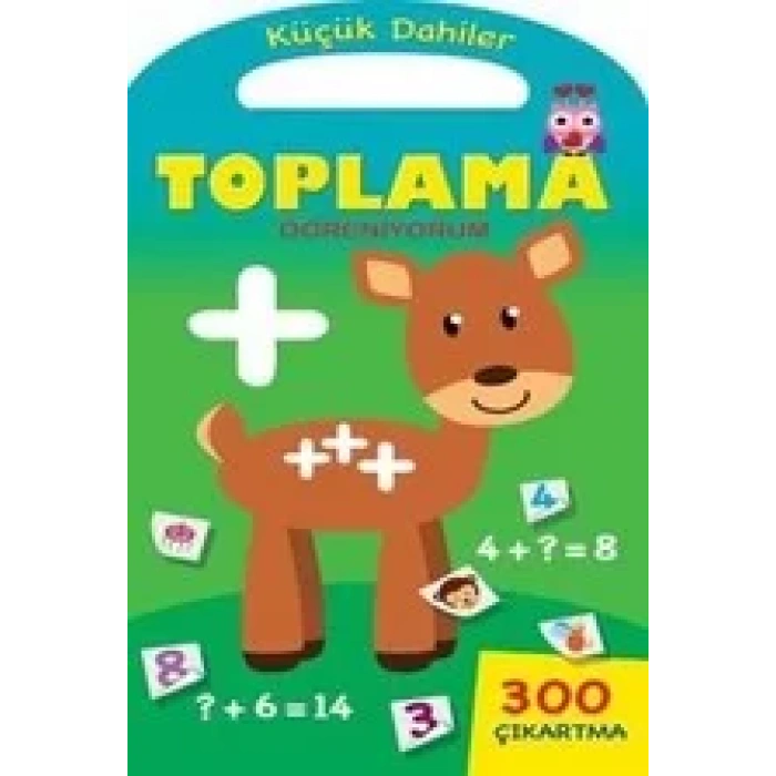 TOPLAMA ÖĞRENİYORUM KÜÇÜK DAHİLER