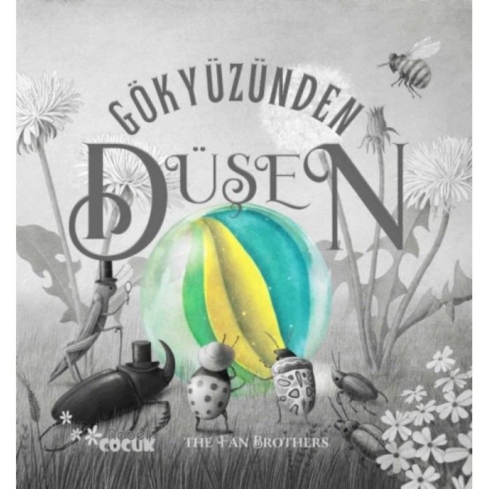 GÖKYÜZÜNDEN DÜŞEN