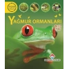 YAĞMUR ORMANLARI YAŞAM DÖNGÜSÜ SERİSİ