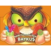 BAYKUŞ ŞEKİLLİ HAYVANLAR SERİSİ - PARILTI