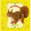 HAYVANLAR DOKUN HİSSET - 0-6 YAŞ
