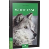 WHITE FANG STAGE 3 - MK