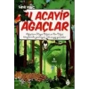 ŞU ACAYİP AĞAÇLAR - UĞURBÖCEĞİ
