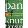 PAN - TİMAŞ