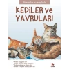 İLK SORULAR VE CEVAPLARLA KEDİLER VE YAVRULARI