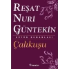 ÇALIKUŞU - İNKILAP
