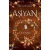 AŞİYAN 2 - DİVANE (CİLTLİ) - DOKUZ YAYINLARI