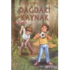 DAĞDAKİ KAYNAK