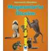 Hayvanlarla Etkinlikler - Maymunlarla Ölçelim