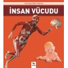 İnsan Vücudu