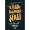 KALBİN ANATOMİK ŞEKLİ