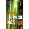 LABİRENT ÖLÜMCÜL KAÇIŞ - PEGASUS