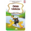 Martı-Ördek Yavrusu
