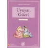 Uyuyan Güzel (Turuncu Dizi)
