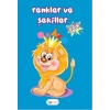 BEYAZ PUSULA RENKLER VE ŞEKİLLER 3+ YAŞ