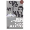 DENİZ KIYISINDA KOŞAN ALA KÖPEK - ÖTÜKEN