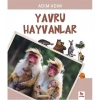 Adım Adım Yavru Hayvanlar