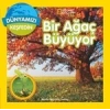 Bir Ağaç Büyüyor - NATIONAL KİDS