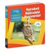 Hareket Halindeki Hayvanlar - NATIONAL KİDS