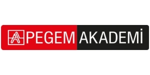 PEGEM AKADEMİ YAYINLARI