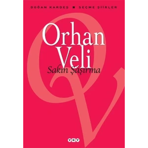 SAKIN ŞAŞIRMA - YKY